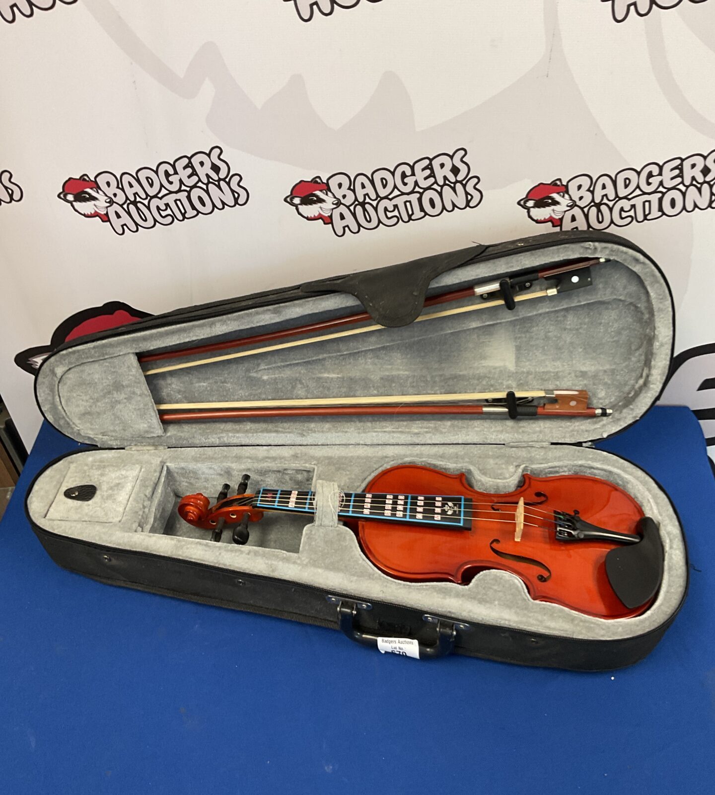 Gear4music violin in case