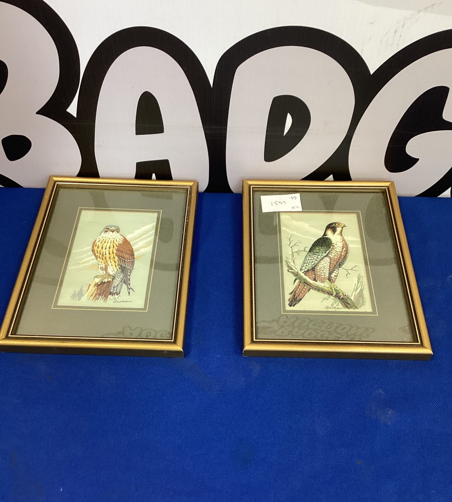 Two Woven framed Pictures of Birds
