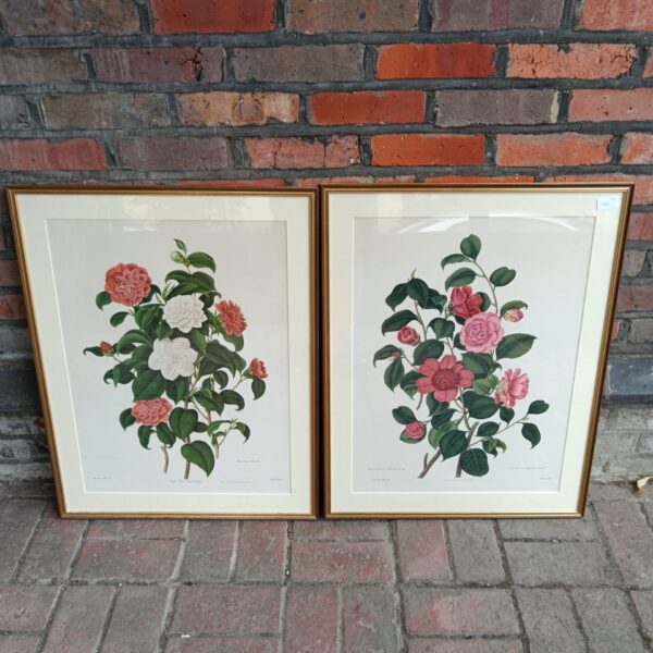 Pair of John & Arthur arch cornhill floral prints