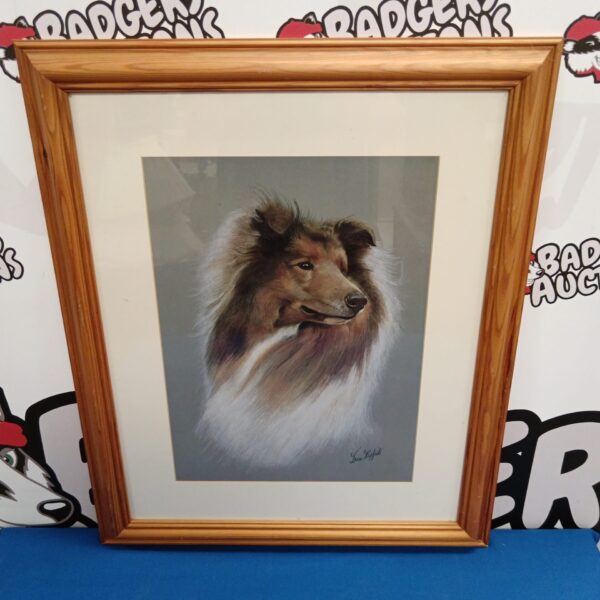 Brian hupfield framed print of a collie dog