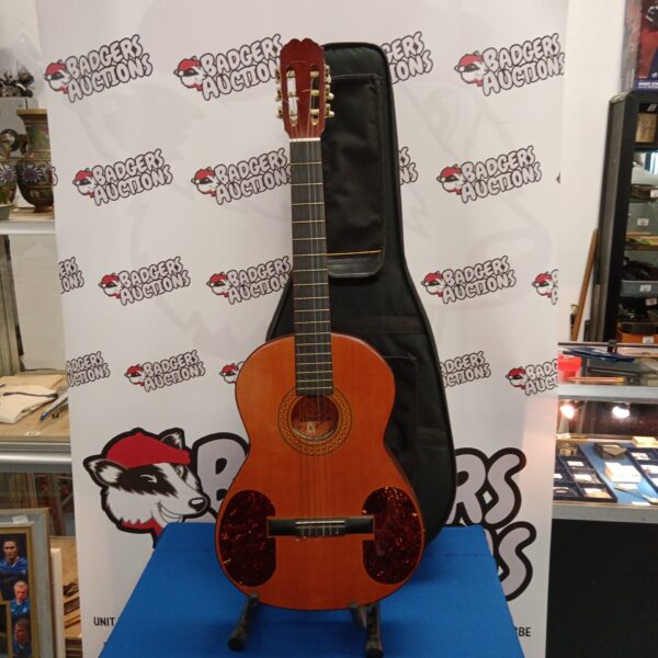 Bm almeria acoustic guitar with case