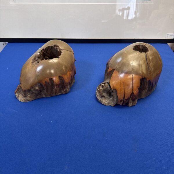 Pair of vintage fossilised hardwood bookends with rich grain.