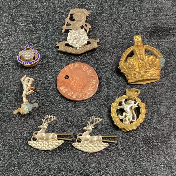 Vintage British Army military cap badges collection for collectors.