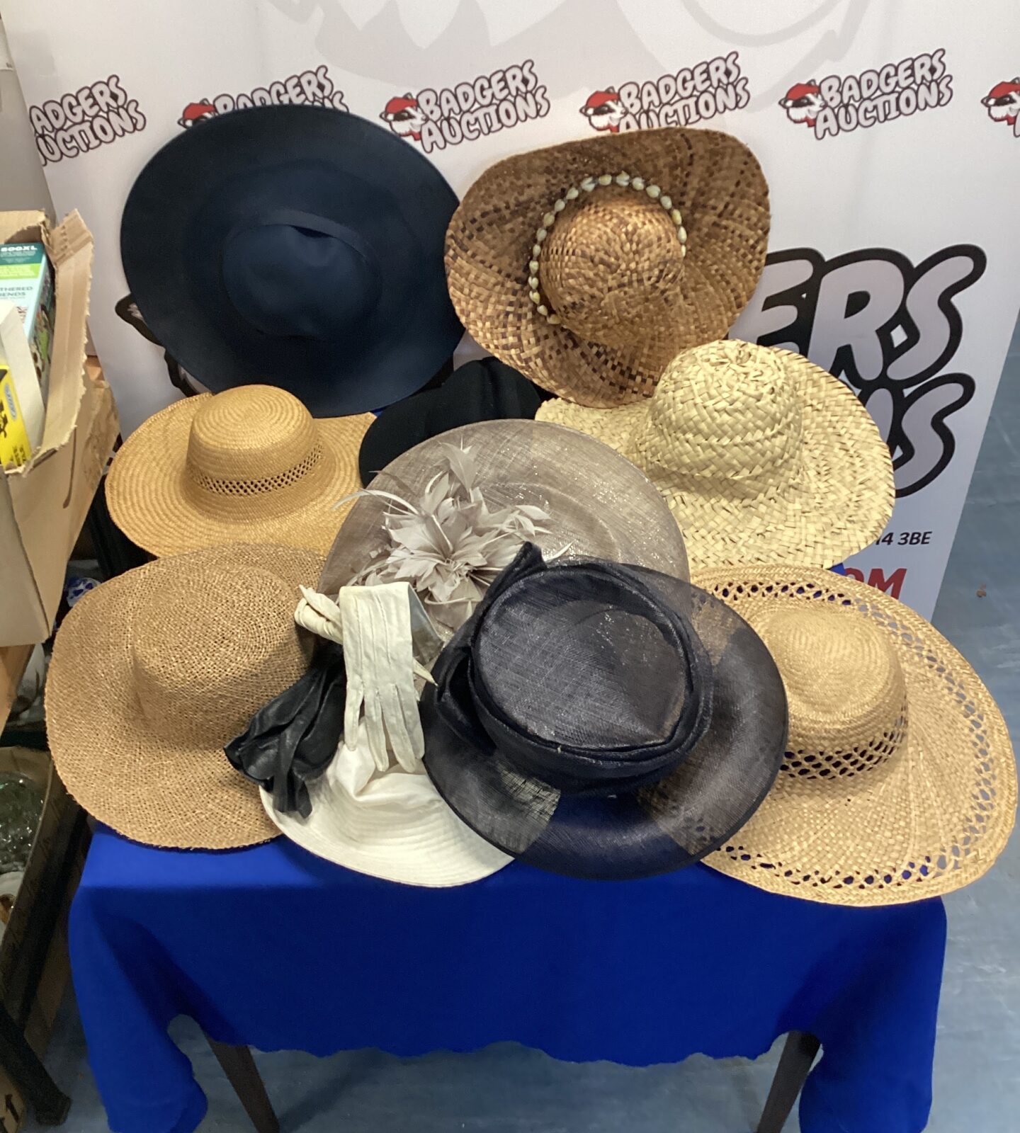 Box of occasional events hats