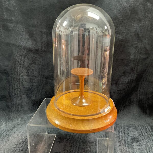 Clear glass display dome on a wooden base.