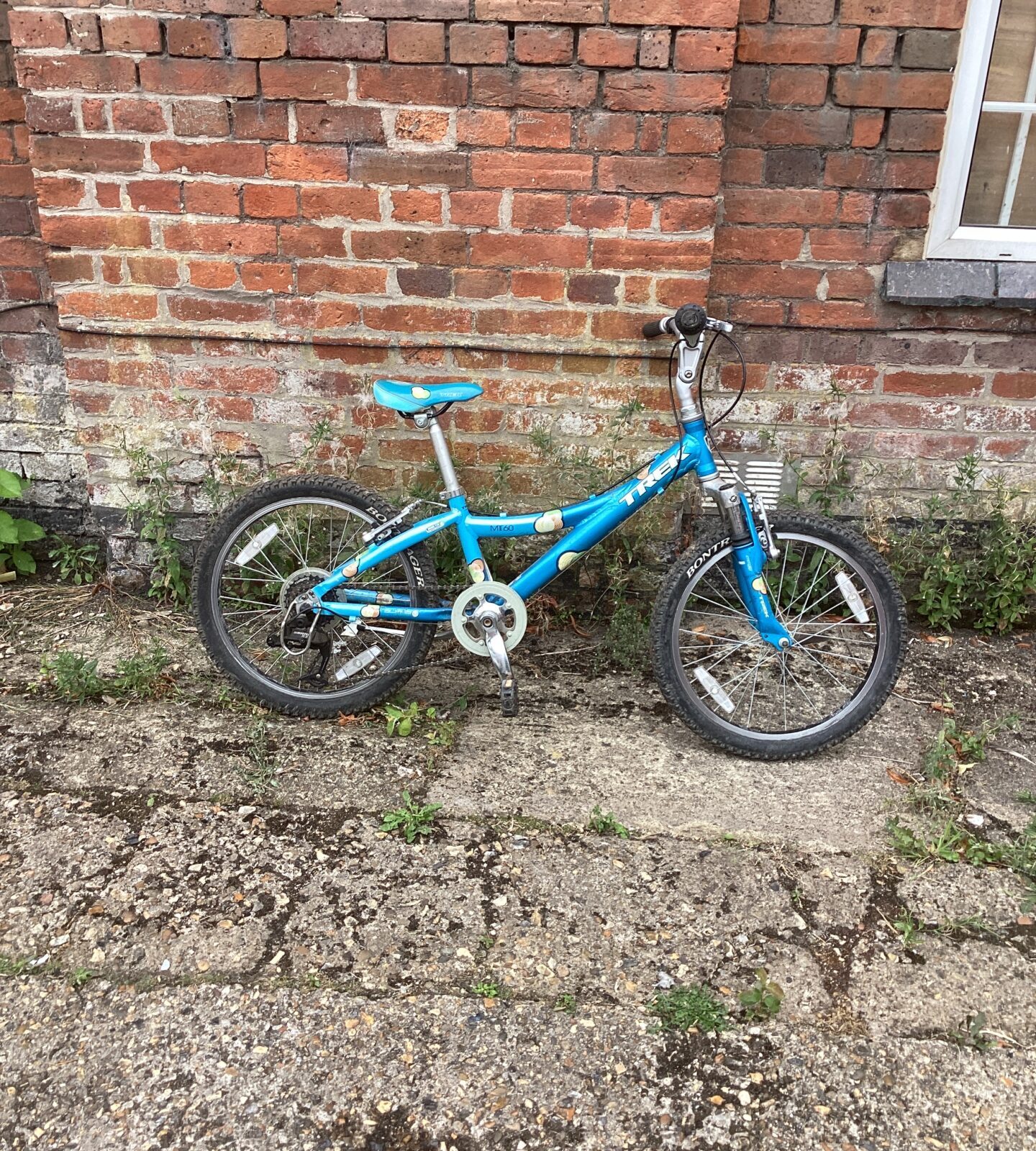 Trek MT60 Childs Bike