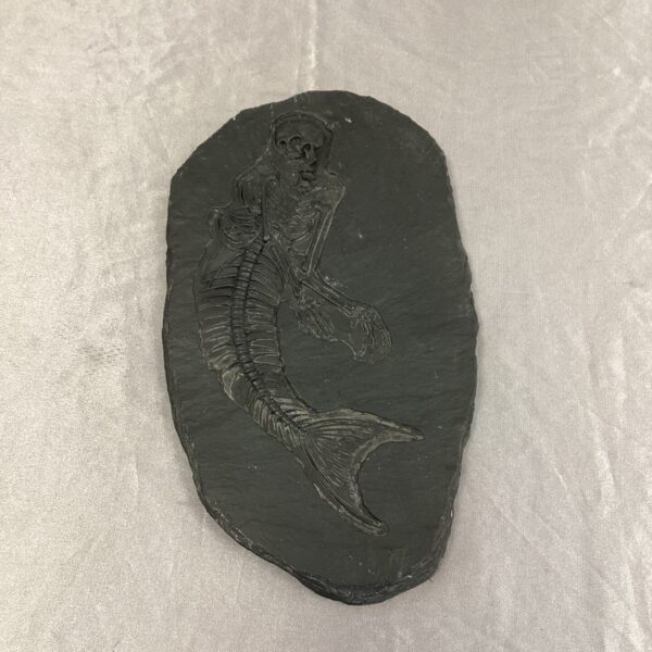 Detailed chimera fossil sculpture, half-man half-fish hybrid design.