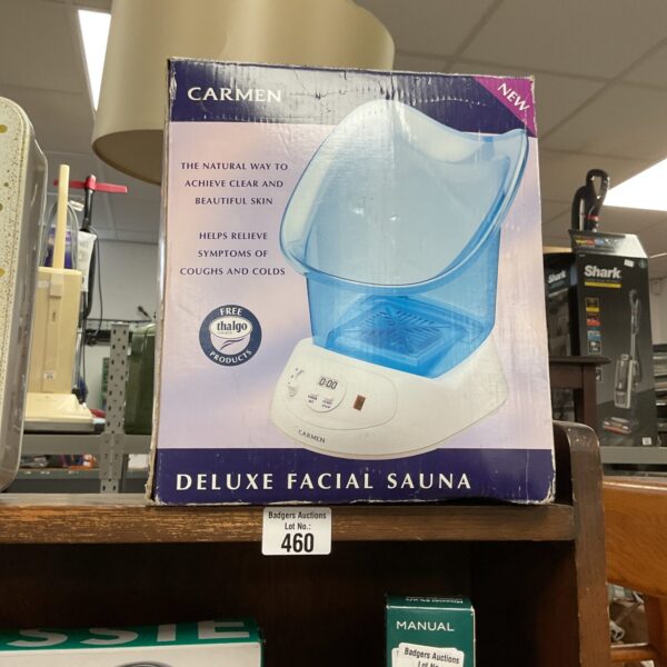 Carmen deluxe facial sauna