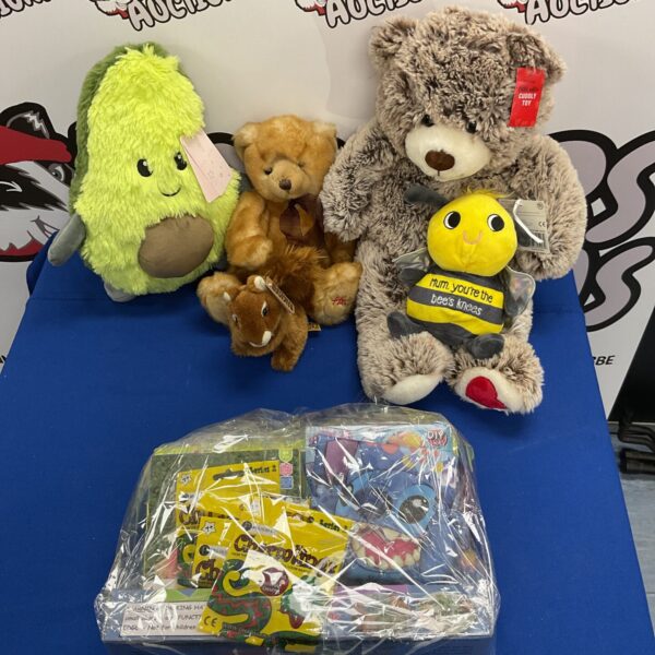 Collection of soft toys inc hamlets bear and bag of craft games inc charmlings