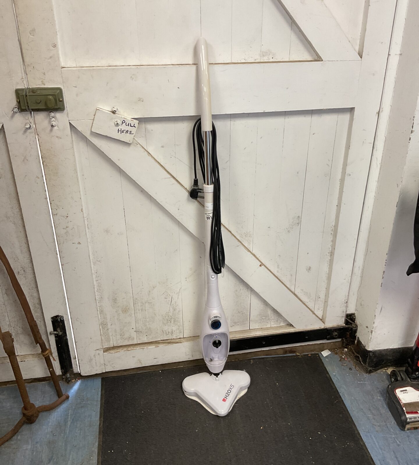 Thane H20X5 dteam Cleaner