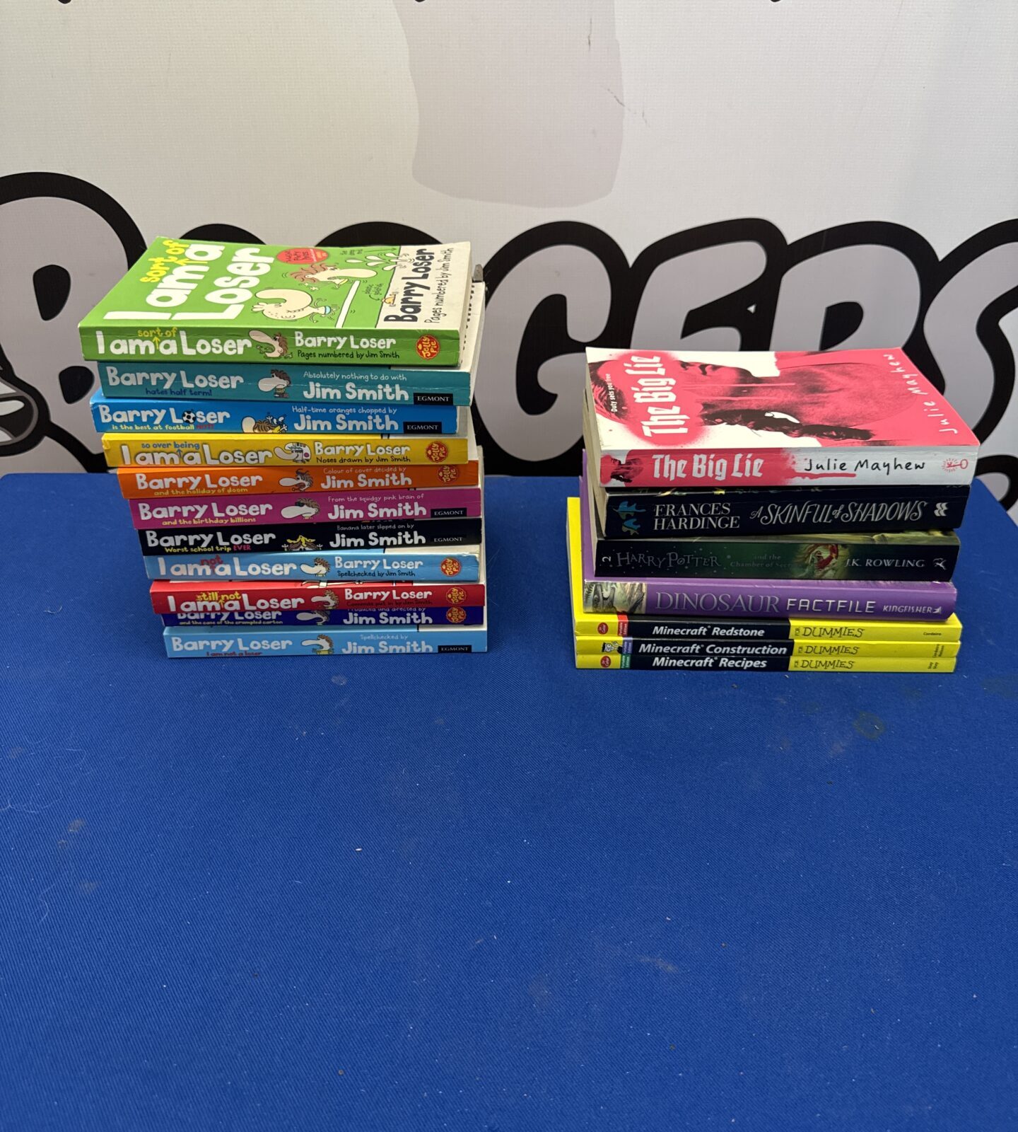 Selection of books inc Barry loser, Minecraft for dummies & others