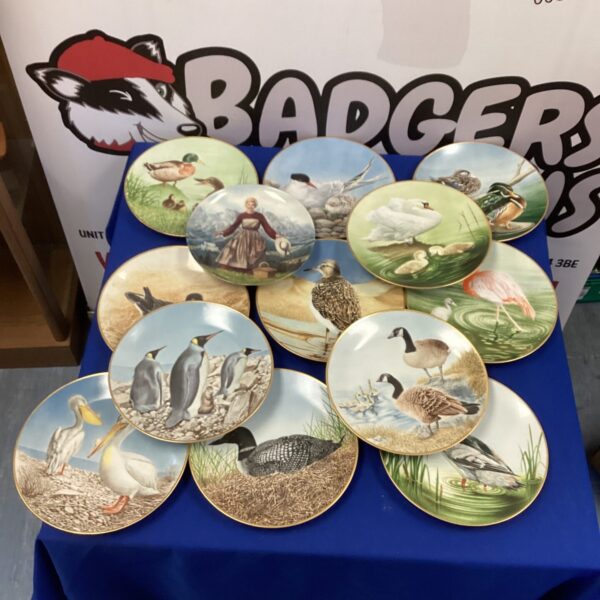 Assorted collectors plates including Sound of Music themed designs.