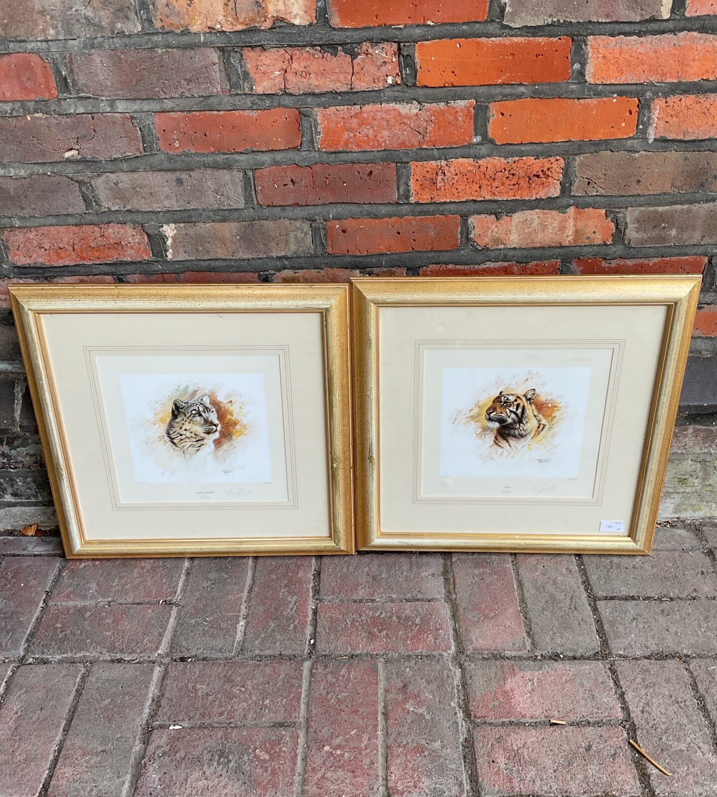 tony forrest pair of limited editionsigned  wildlife prints if snow leopard & tiger