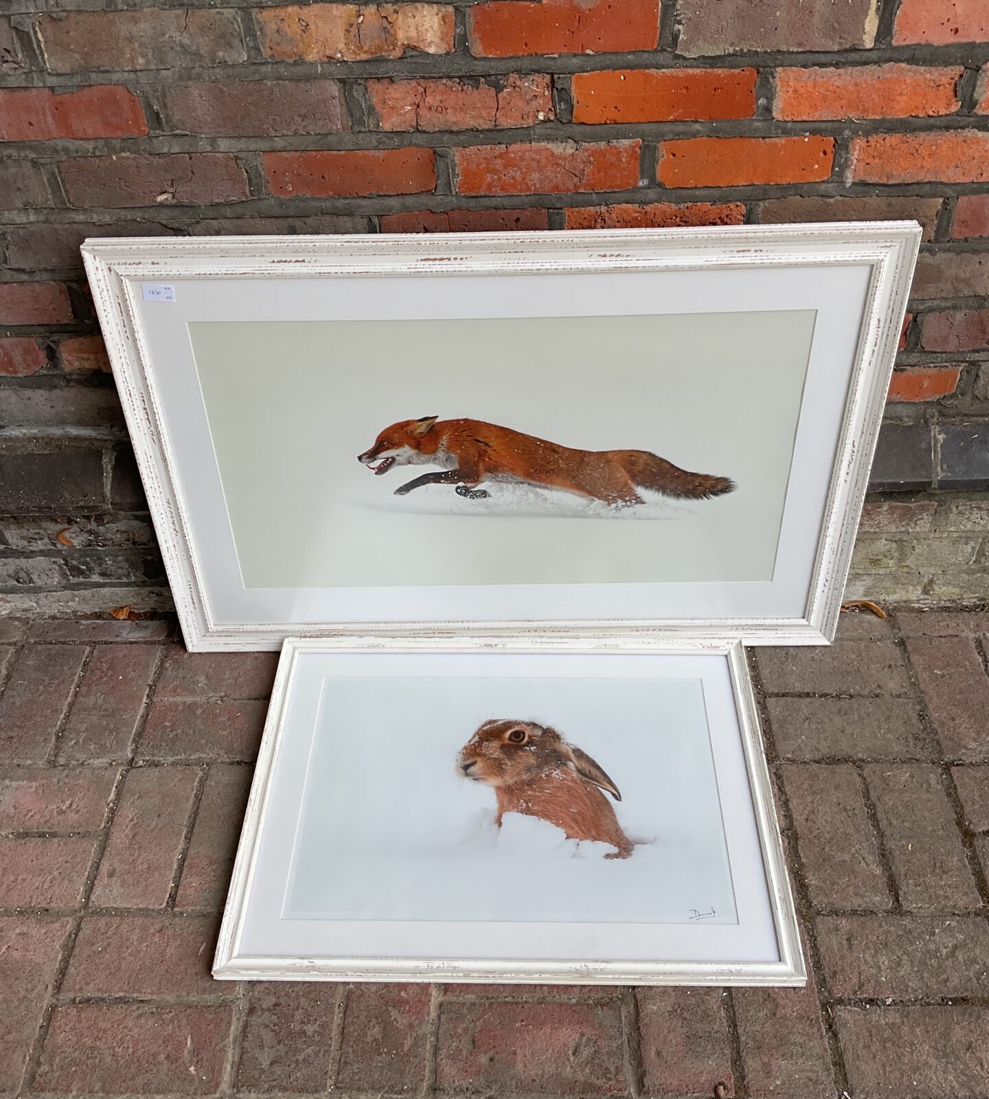 Framed photographic prints of a fox & rabbit in snow
