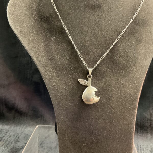 925 Silver Apple pendant 20” Necklace