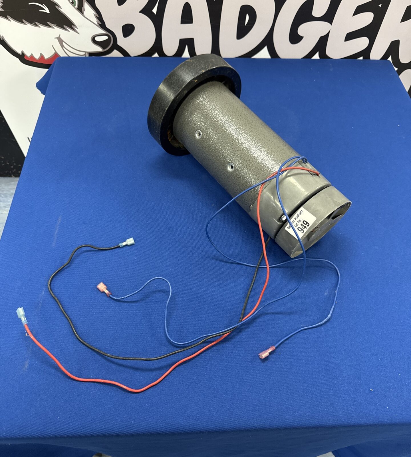Large electric motor