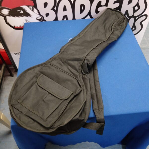 Banjo travel case