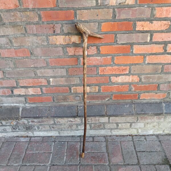 Vintage carved bird handled walking stick