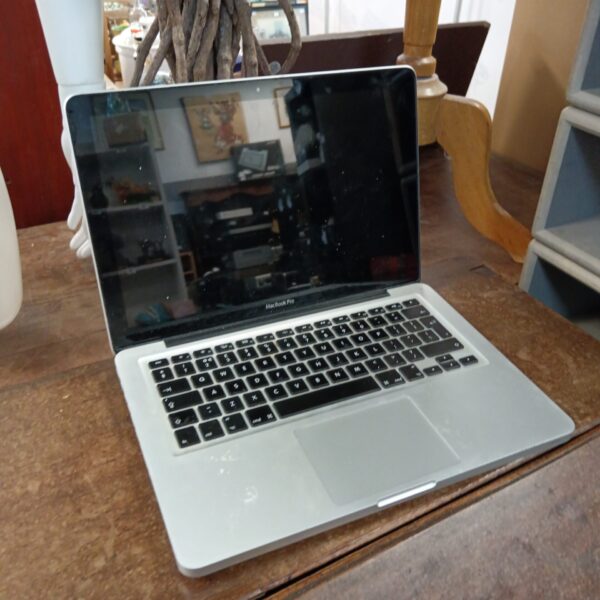 Apple Mac book pro laptop powers on but pin locked