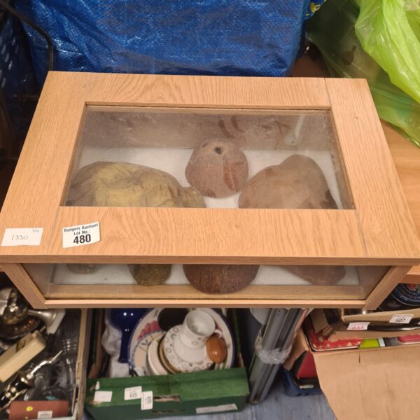 Front view of a vintage animal vivarium with glass front.