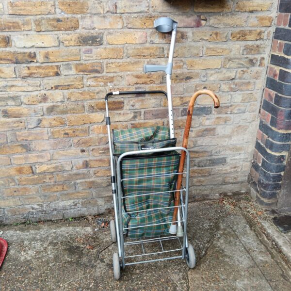 Newbury shopping trolley with walking sticks