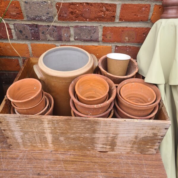 Box of mixer garden pots inc terracotta