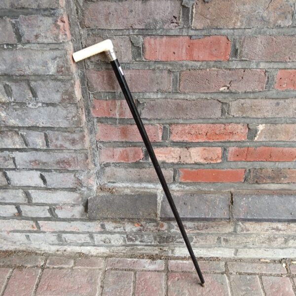 Vintage bone handled walking cane with hallmarked sterling silver cuff