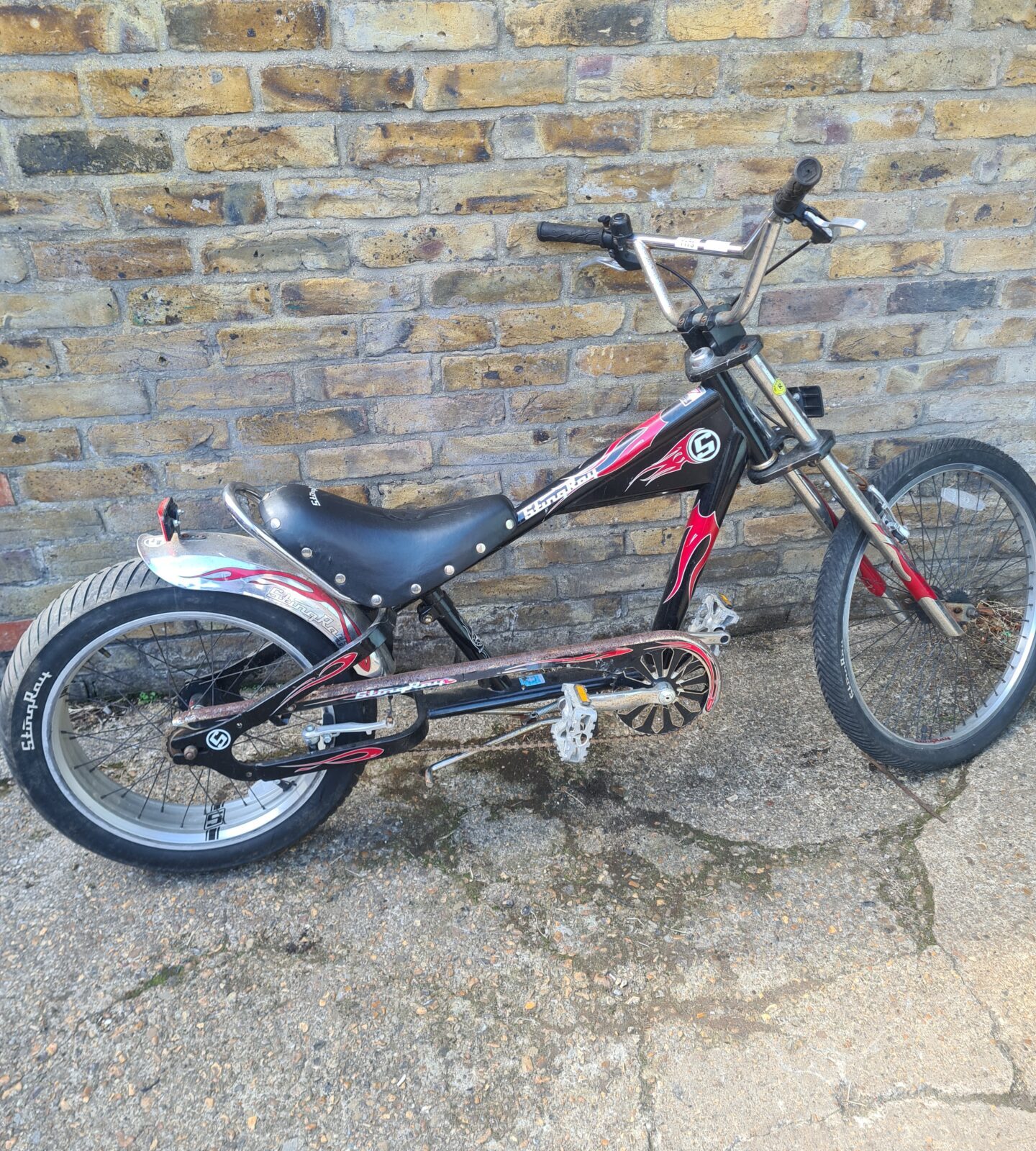 StingRay Cruiser Bike