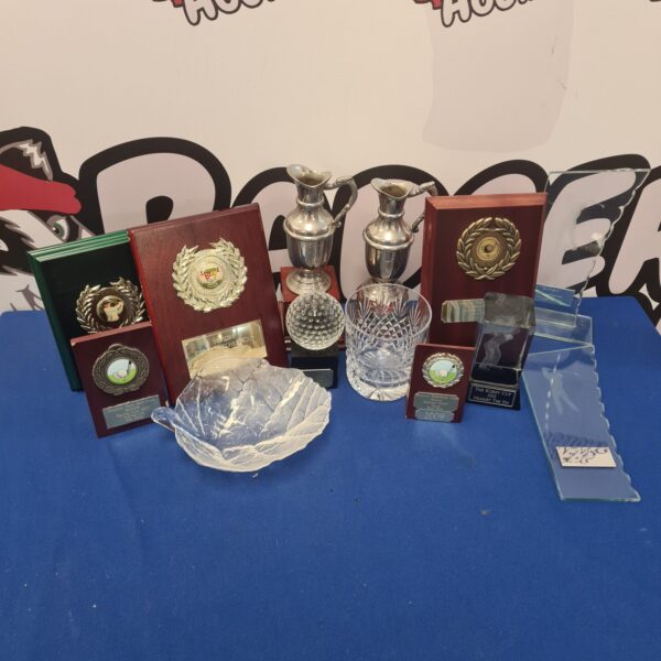 Group of golfing trophies and awards on display.