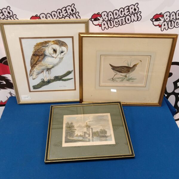 Delicate watercolour painting of a barn owl in flight by Wanda Williams.