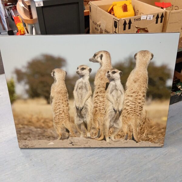 Large canvas print of meerkats for wildlife themed decor.