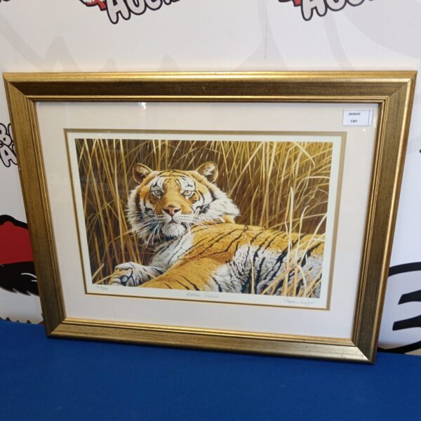 Signed limited edition Stephen Gayford tiger print, "Broken Silence".
