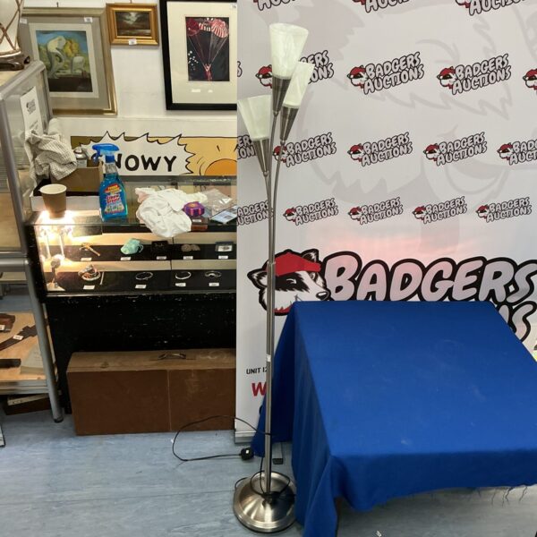 Tall brushed steel floor lamp with adjustable head.