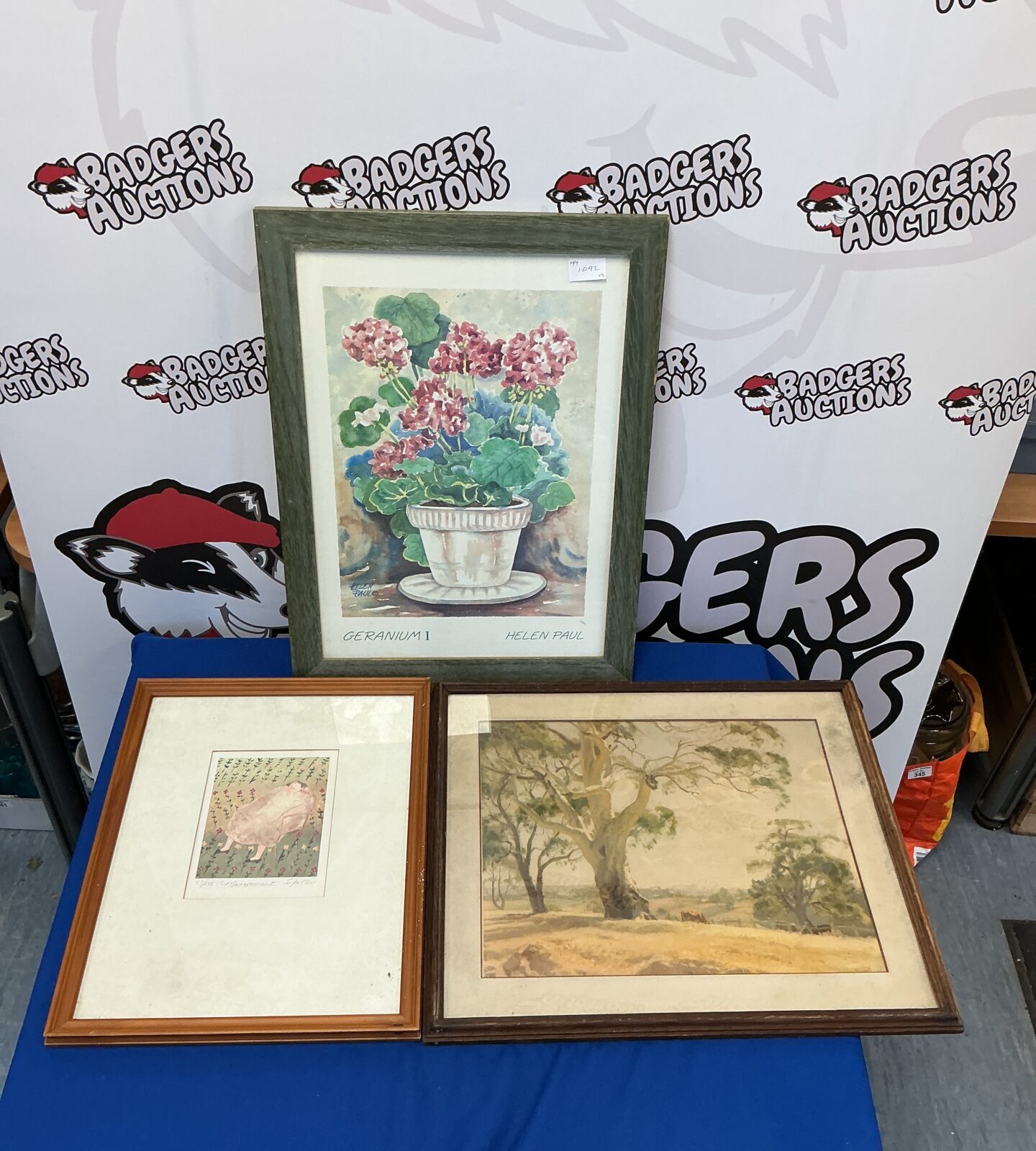 Framed botanical print of geraniums by Helen Paul, vintage floral art.