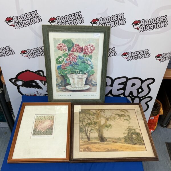 Framed botanical print of geraniums by Helen Paul, vintage floral art.
