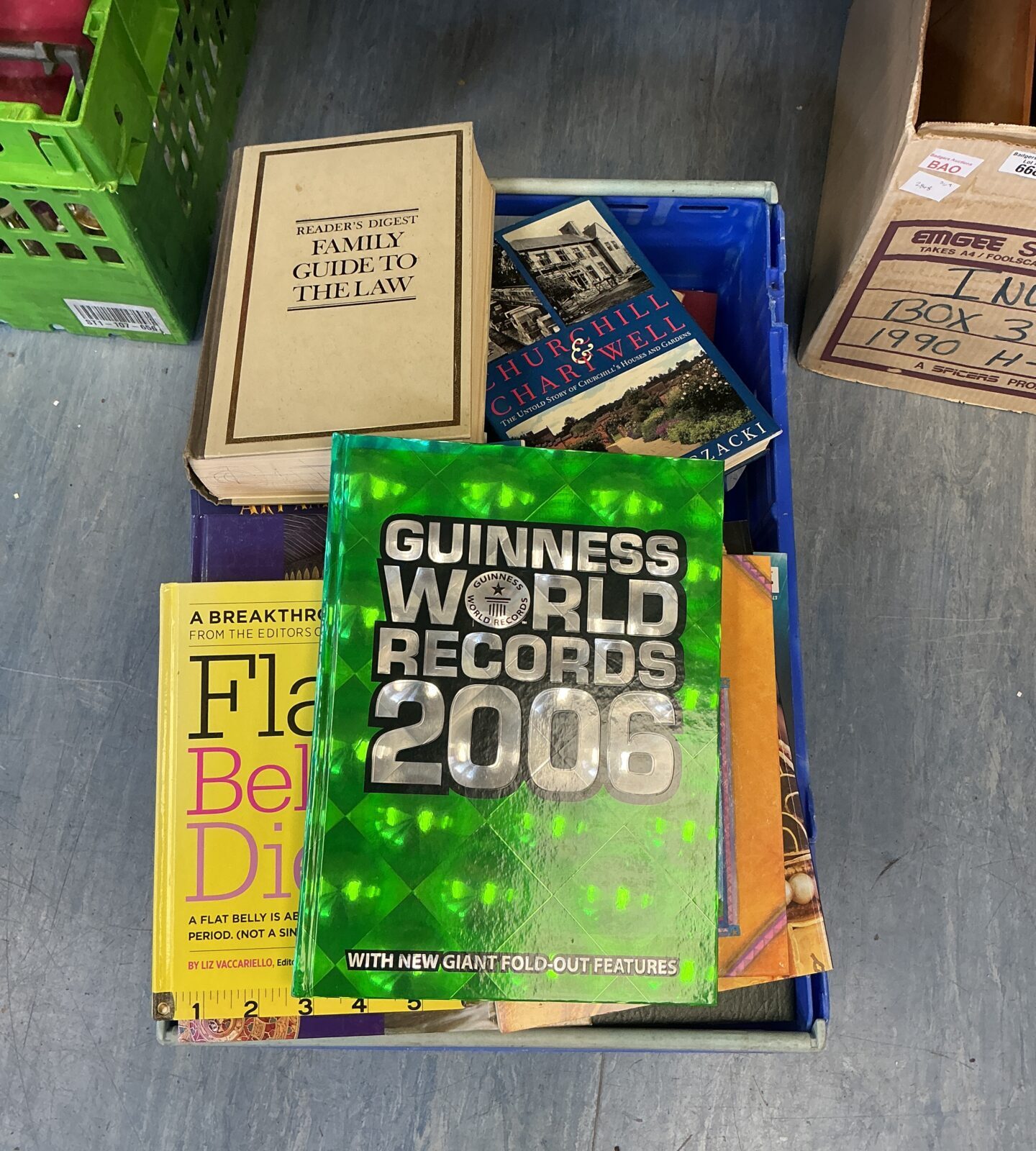 Cover of the 2006 Guinness World Records book, a colourful fact book.