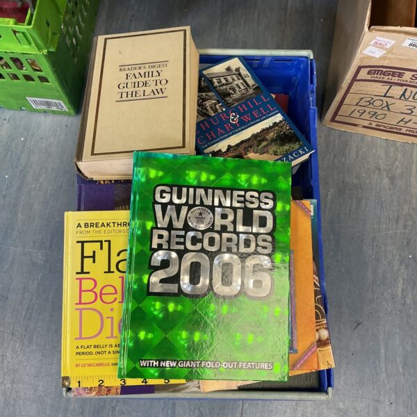 Cover of the 2006 Guinness World Records book, a colourful fact book.