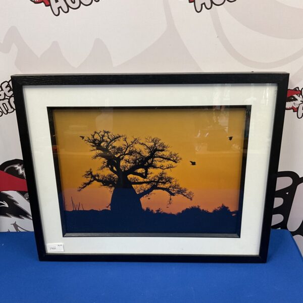 Ashley vincent framed photographic print of the african savanna at dusk