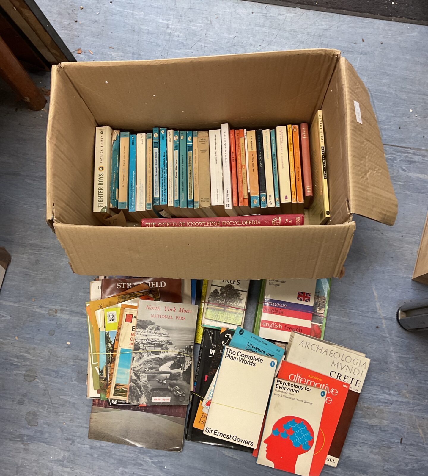Large box of books including guide books & penguin history books