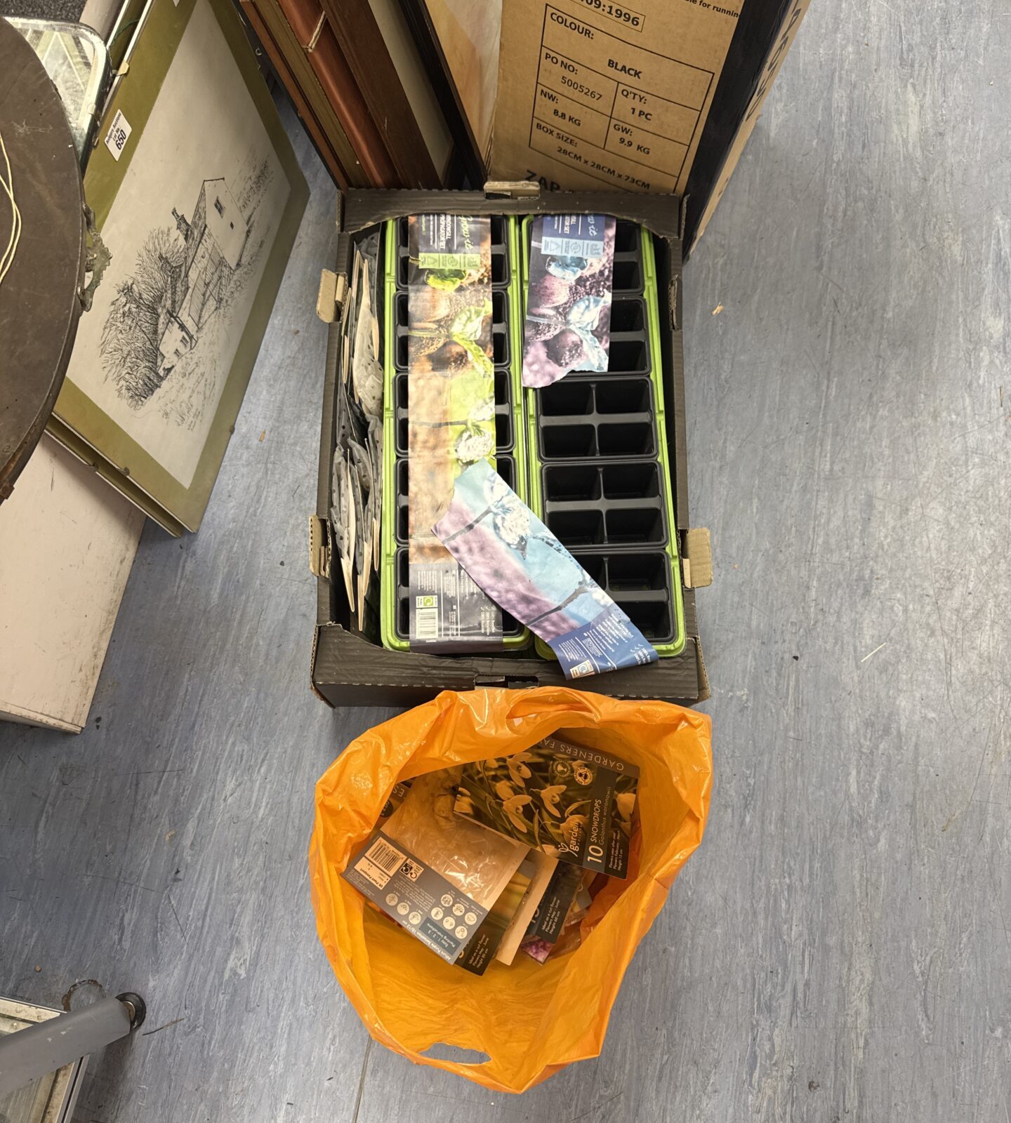 Box of seedling trays with a bag of assorted seeds