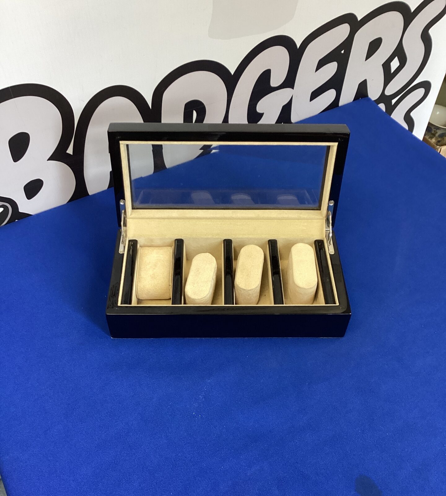 Watch Display Case