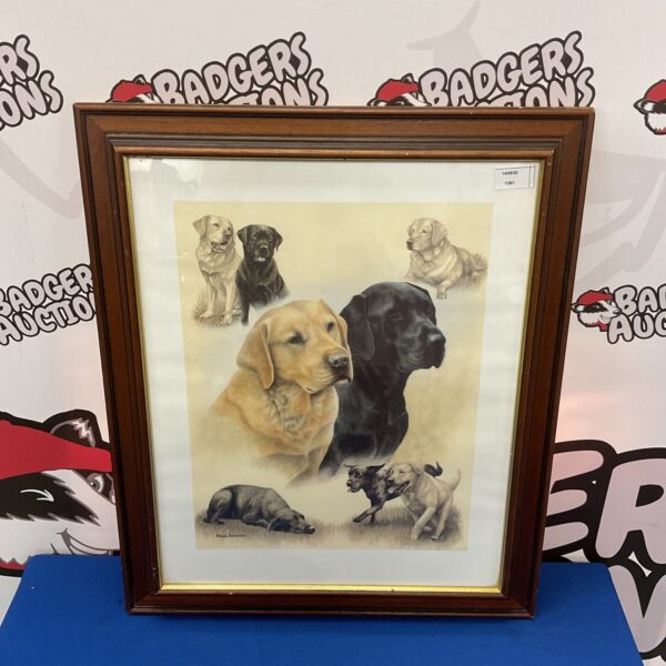 Nigel Hemming labrador print in darkwood frame, charming dog art.