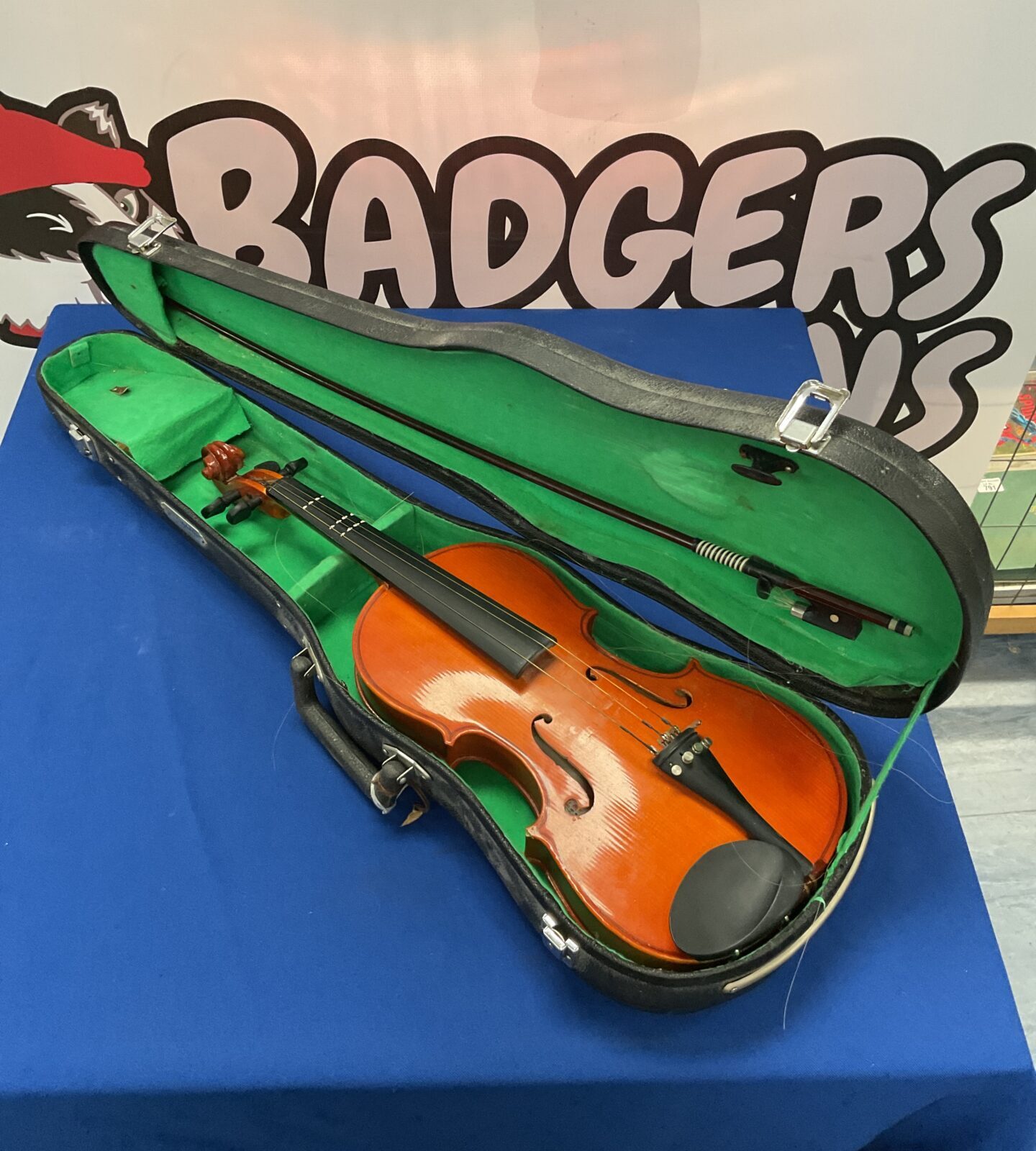 Skylark brand violin in case