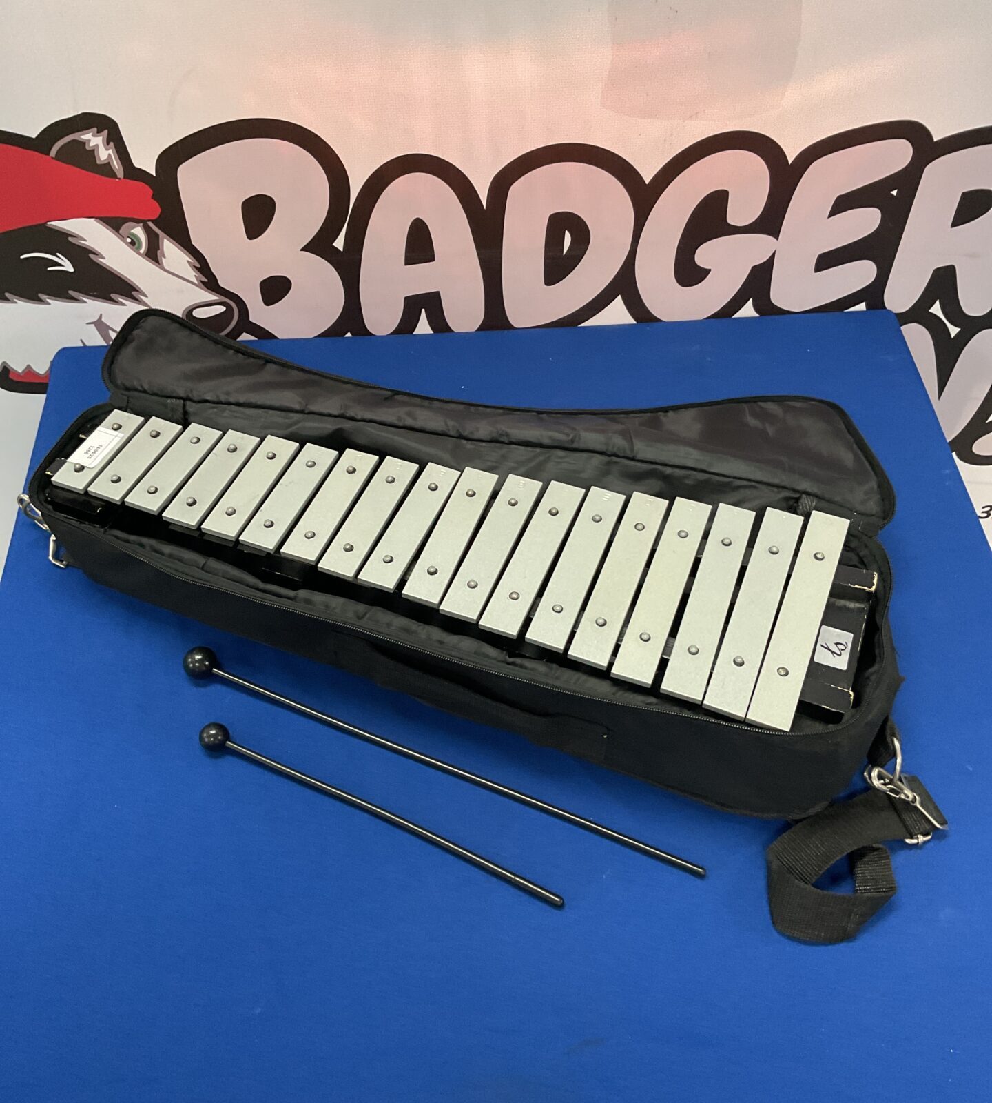 Ts xylophone in case with beaters