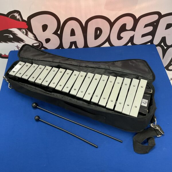 Ts xylophone in case with beaters
