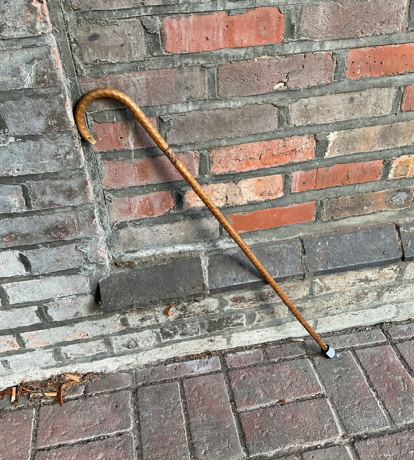 Vintage thorn wood walking stick