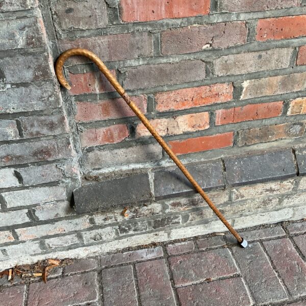Vintage thorn wood walking stick