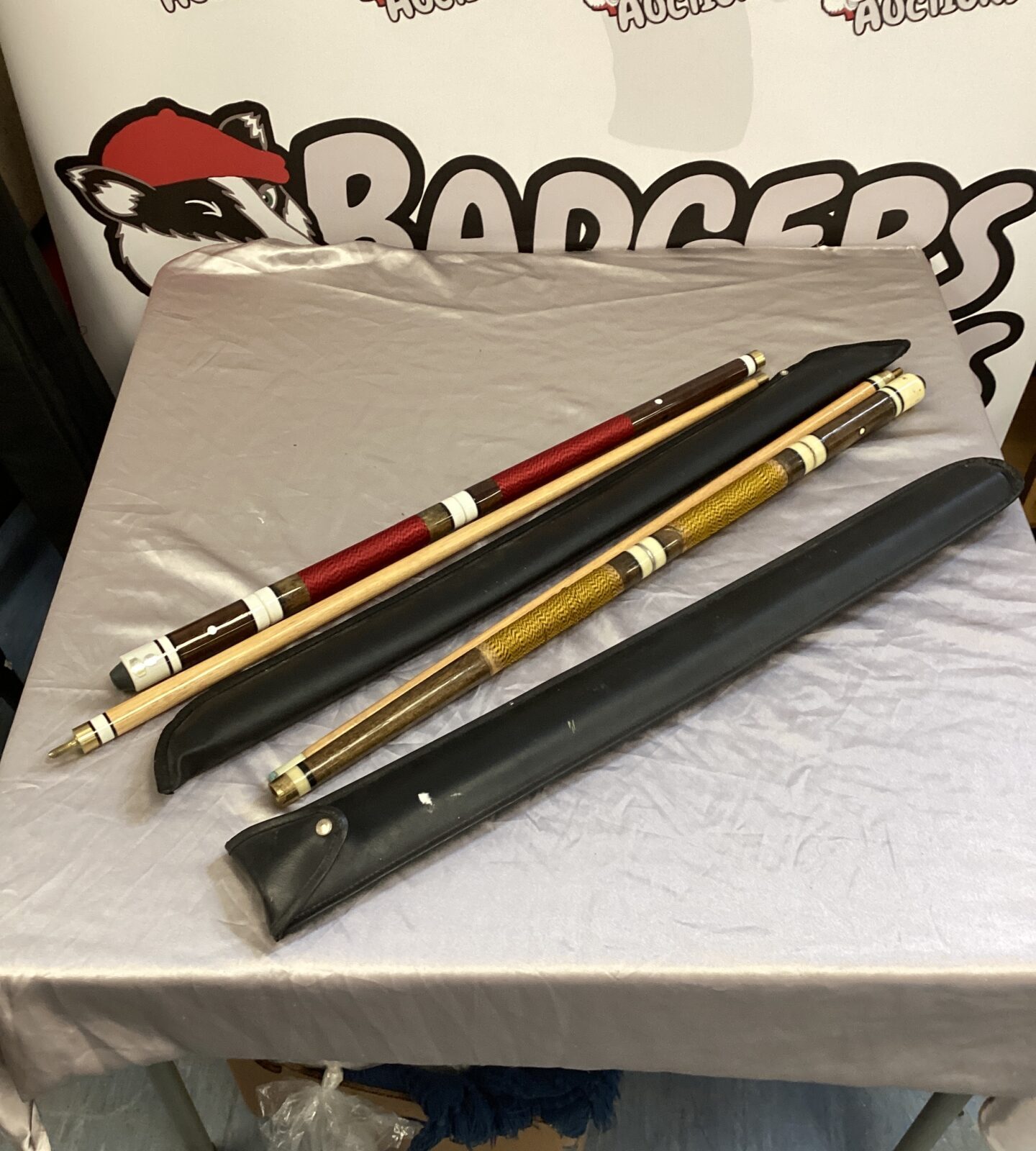 Two snooker cues