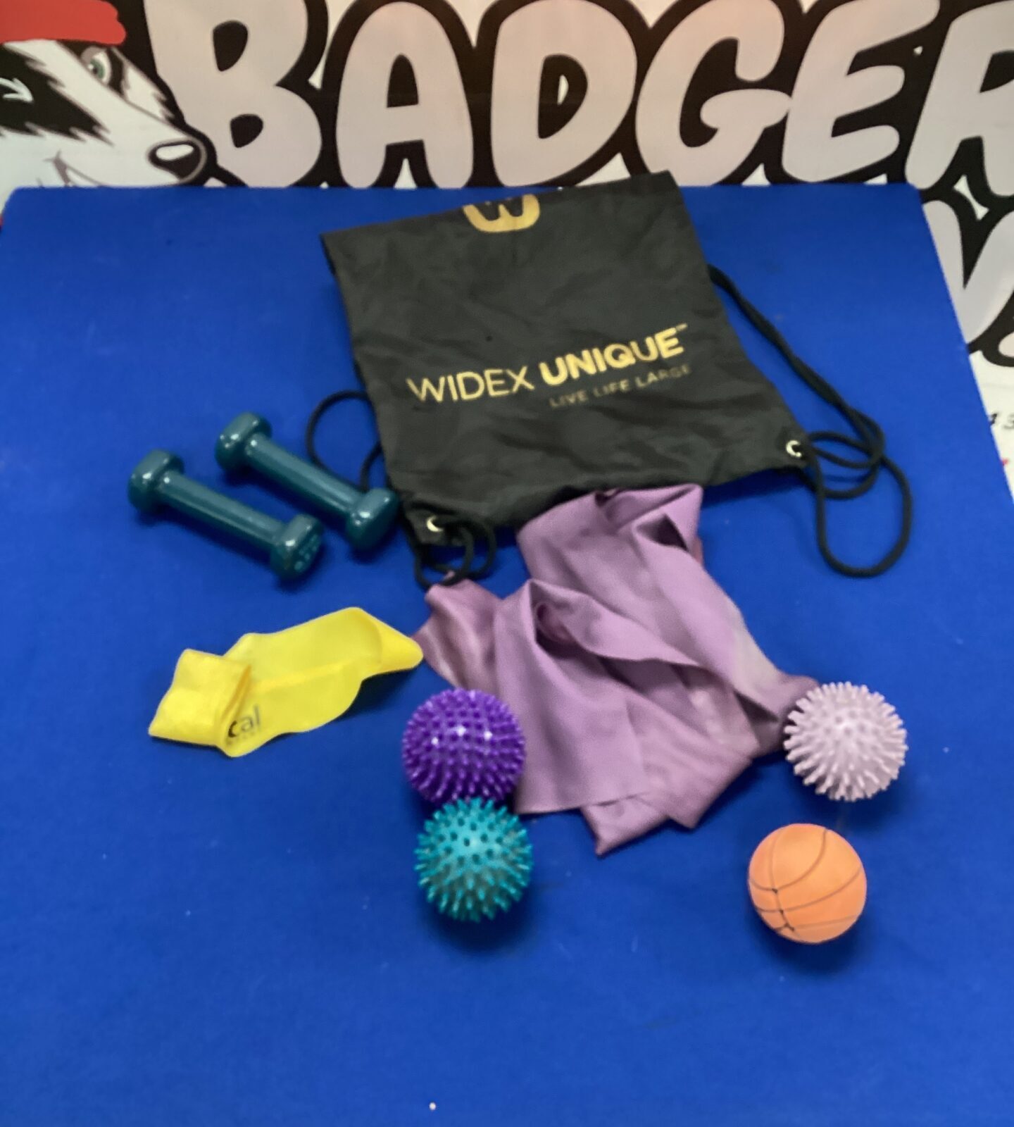 Bag of exercise bands, small weights & spike balls