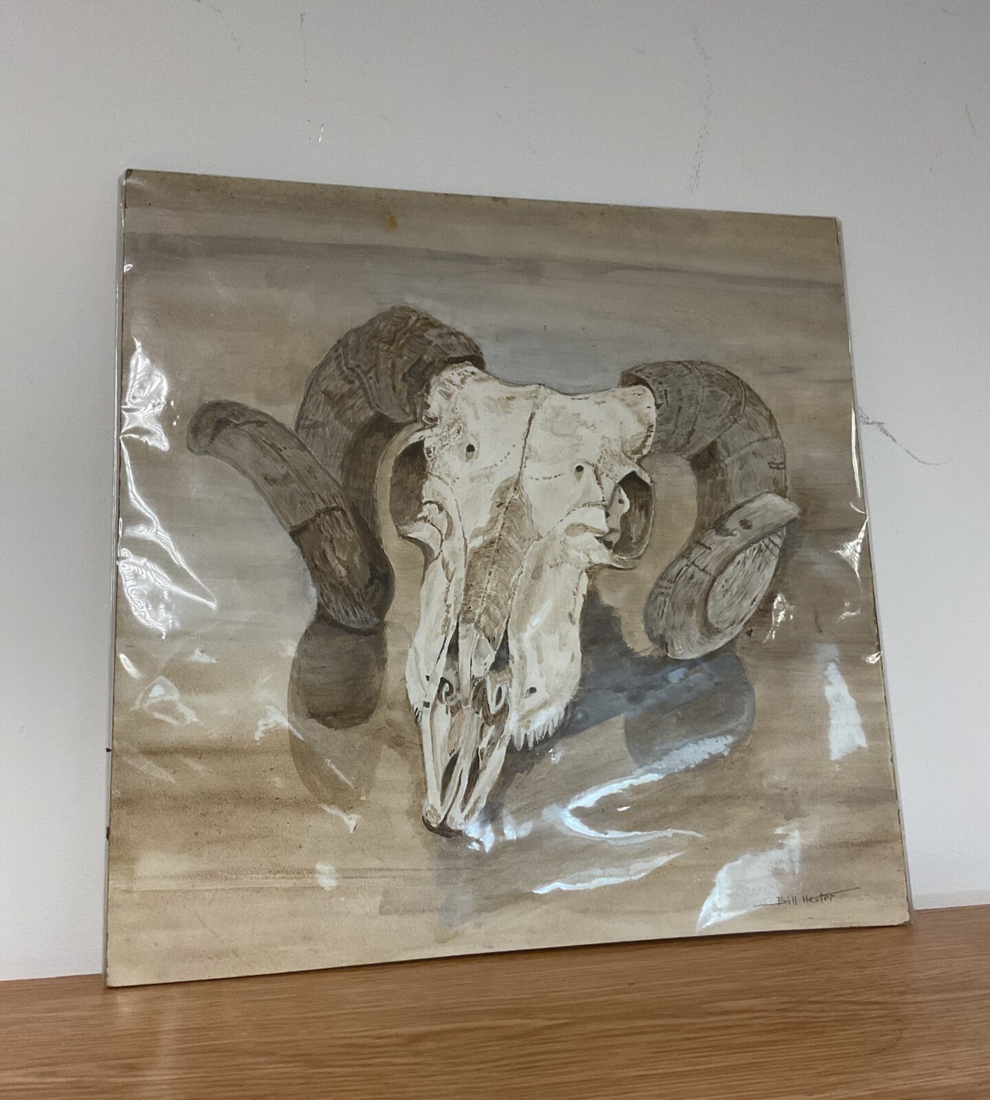 Original watercolour of a rams skull by local artist bill hester